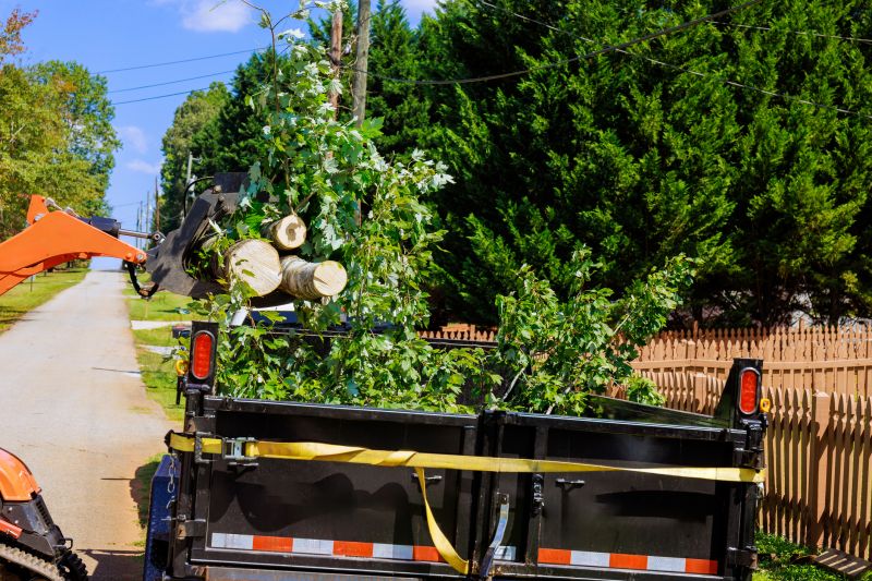 Top Rated Products for Tree Removal
